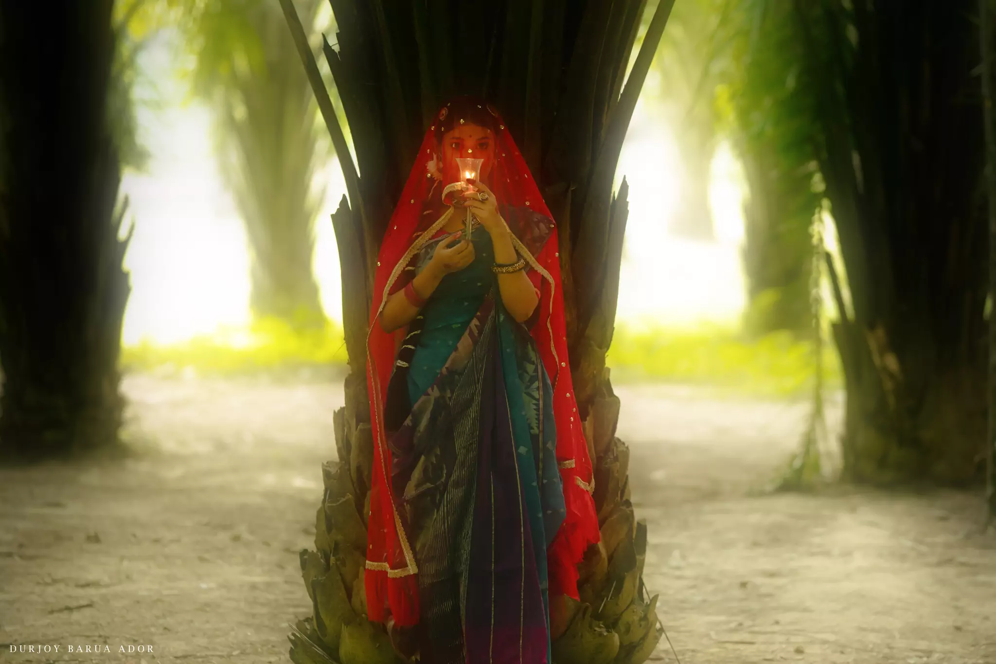 Woman in saree framed by trees, holding a Diya in a serene outdoor setting.